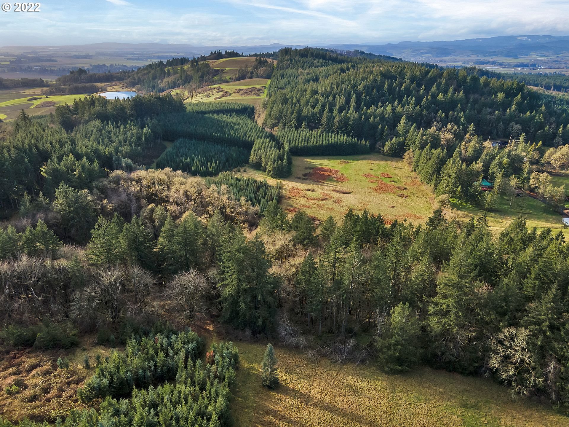 8501 Southeast 3 Trees Lane Amity, OR 97101 - Photo 24 of 28 Pasture