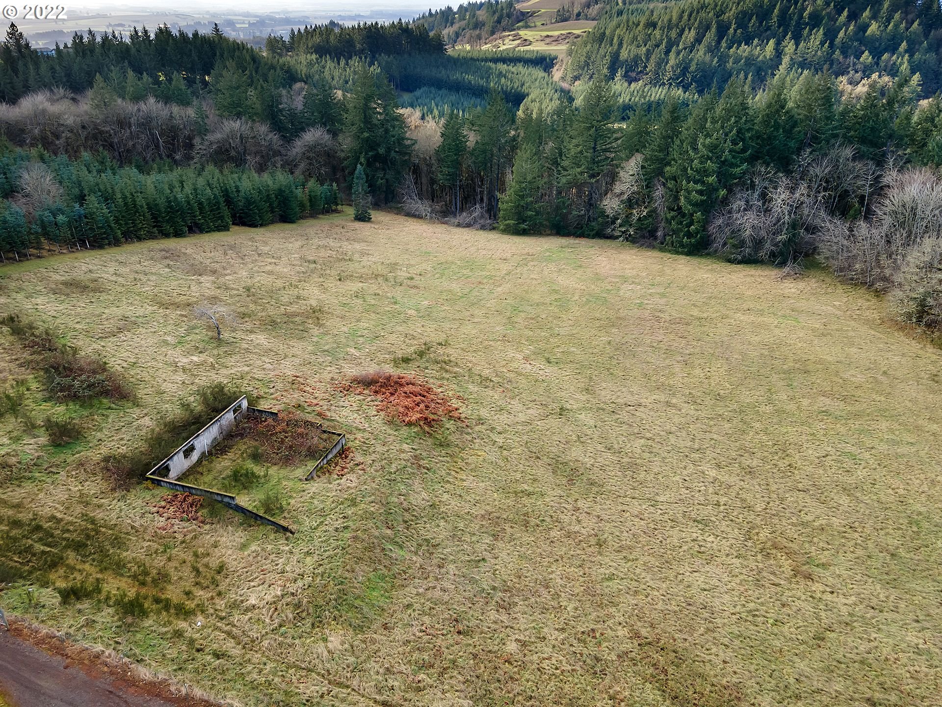 8501 Southeast 3 Trees Lane Amity, OR 97101 - Photo 25 of 28 Pasture