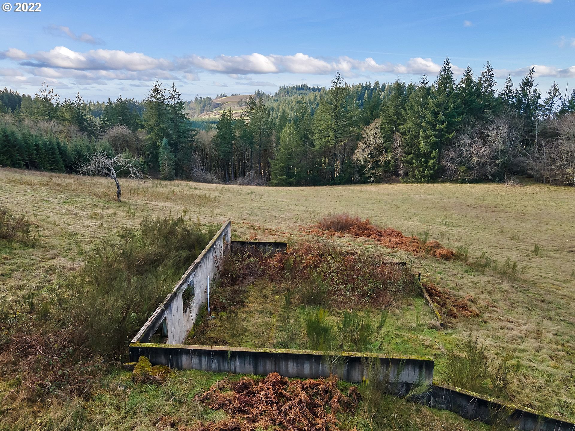 8501 Southeast 3 Trees Lane Amity, OR 97101 - Photo 26 of 28 Pasture
