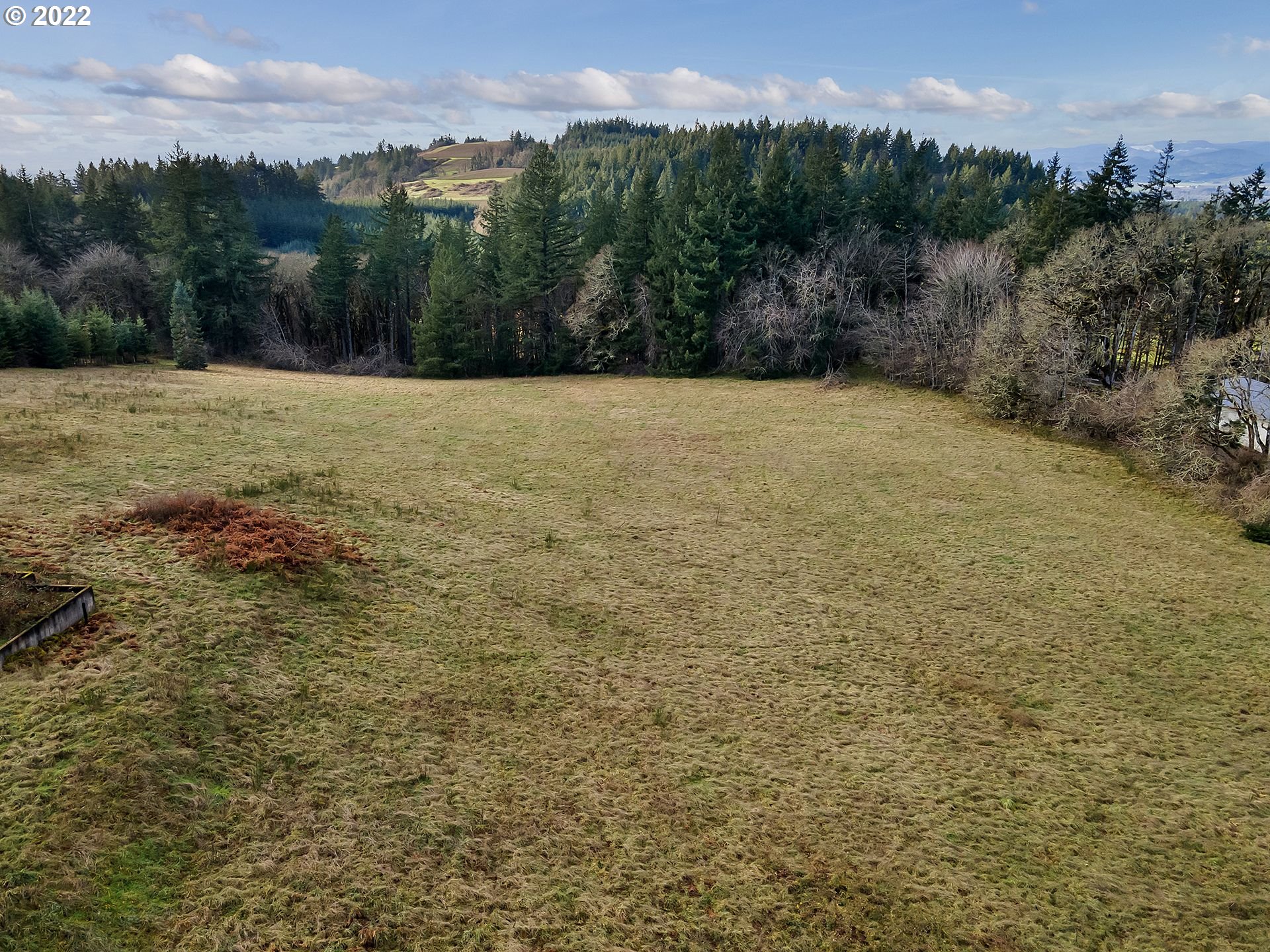 8501 Southeast 3 Trees Lane Amity, OR 97101 - Photo 6 of 28 Pasture