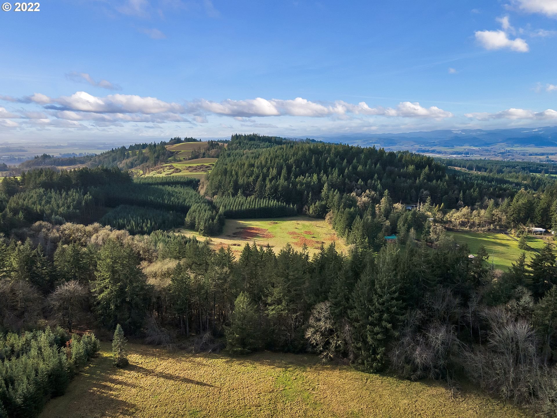 8501 Southeast 3 Trees Lane Amity, OR 97101 - Photo 7 of 28 View