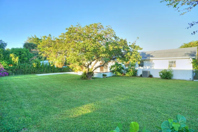 a view of a trees with a big yard