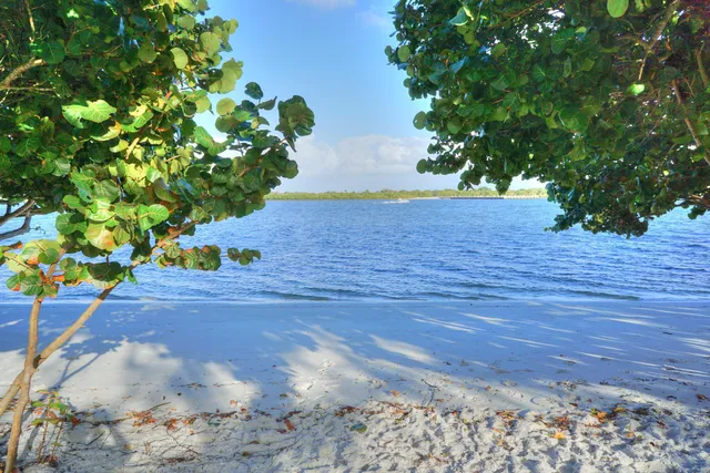 a view of a garden with an empty space