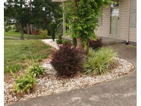 297 Upper Sand Valley Road Jonesborough, TN 37659 - Photo 10 of 22 Landscaping