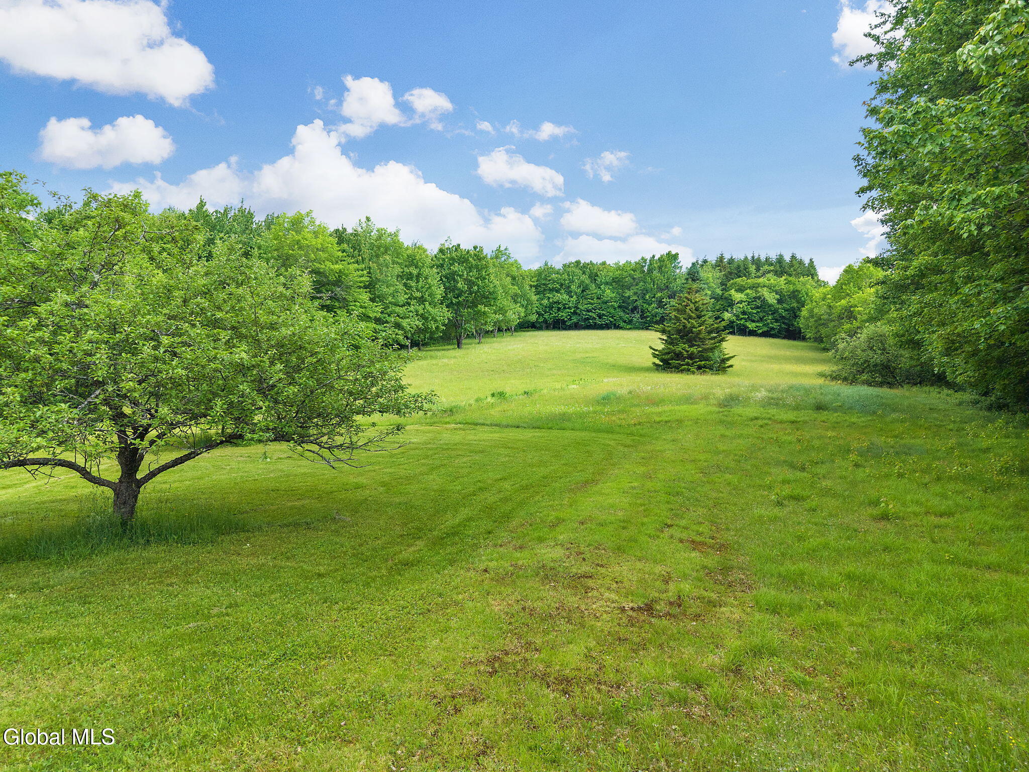615 Arabia Road Summit, NY 12175 - Photo 41 of 51 41-615ArabiaRd_41