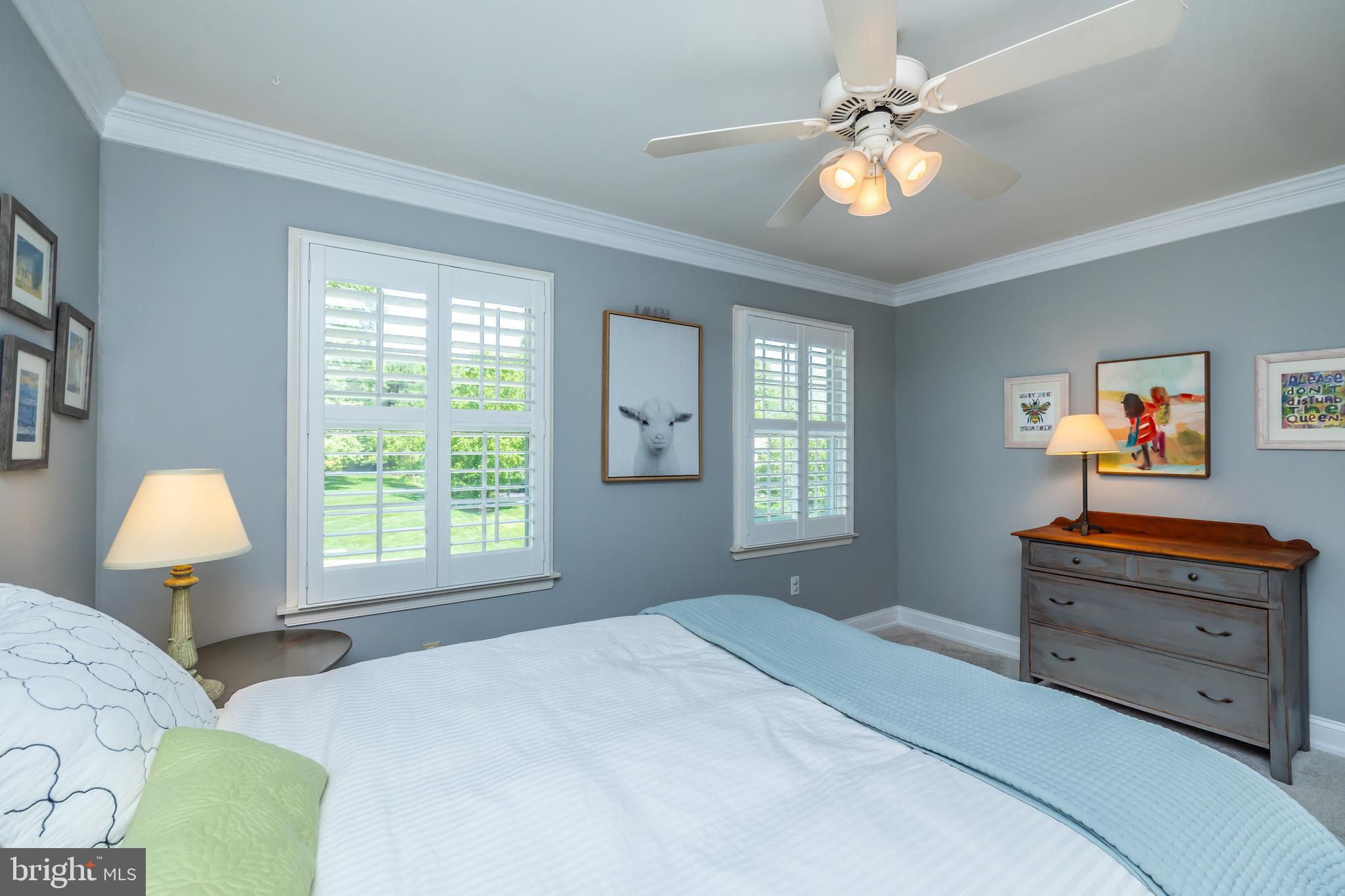 33 Collins Mill Road Chester Springs, PA 19425 - Photo 42 of 64 Crown molding & ceiling fan