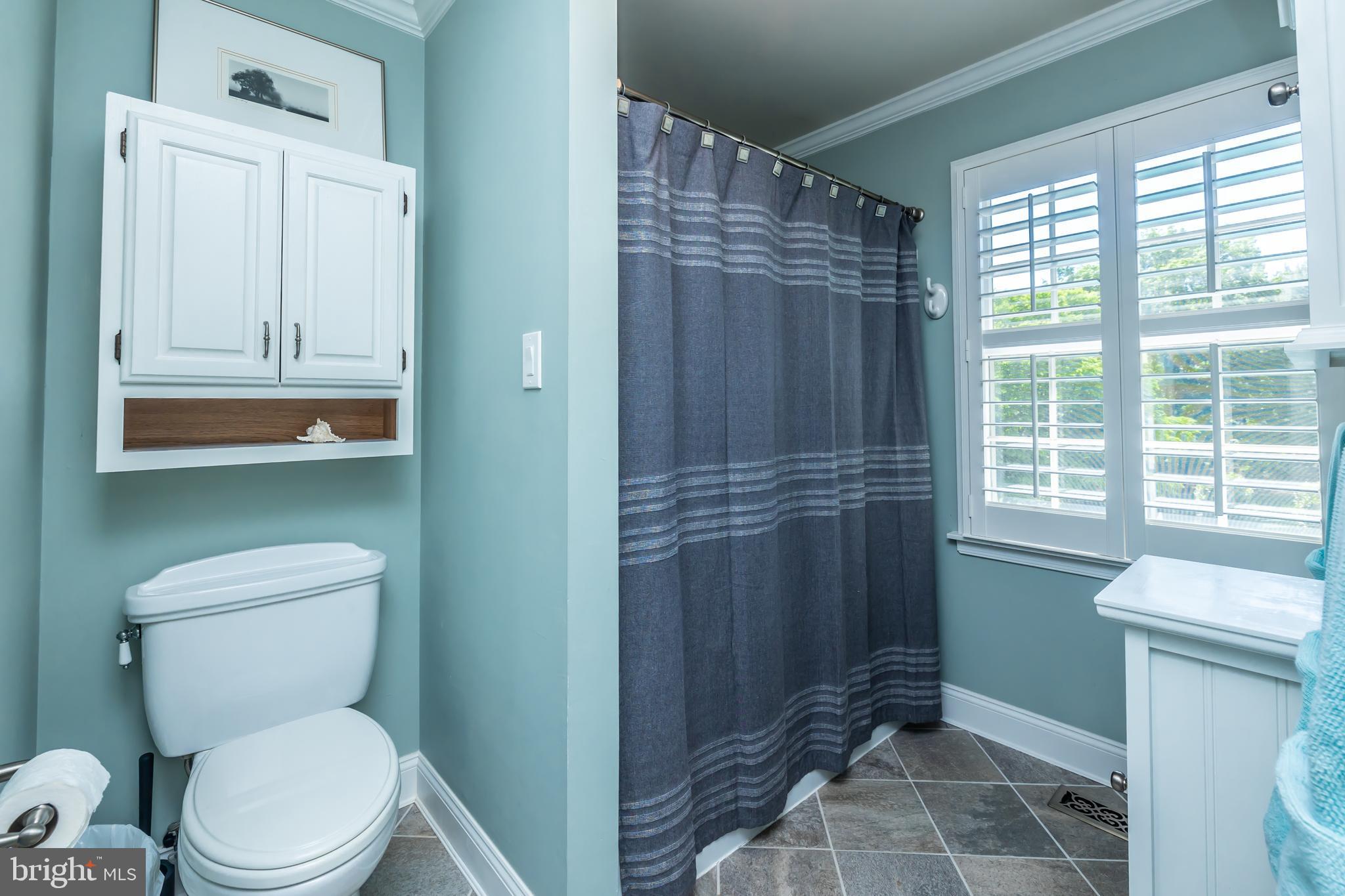 33 Collins Mill Road Chester Springs, PA 19425 - Photo 44 of 64 Hall bath with tub shower