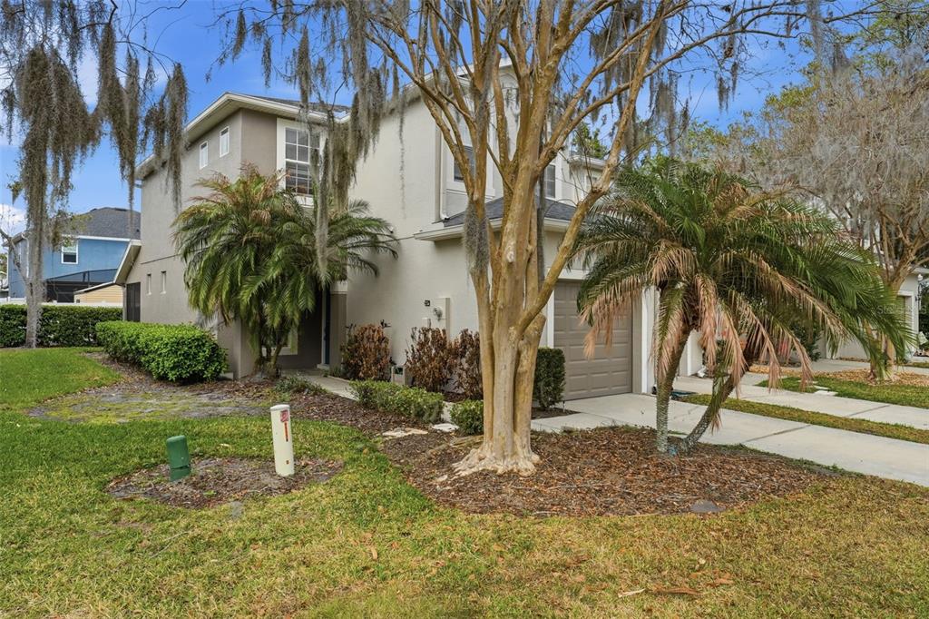 2227 Brancaster Circle Ocoee, FL 34761 - Photo 3 of 30 a backyard of a house with lots of green space