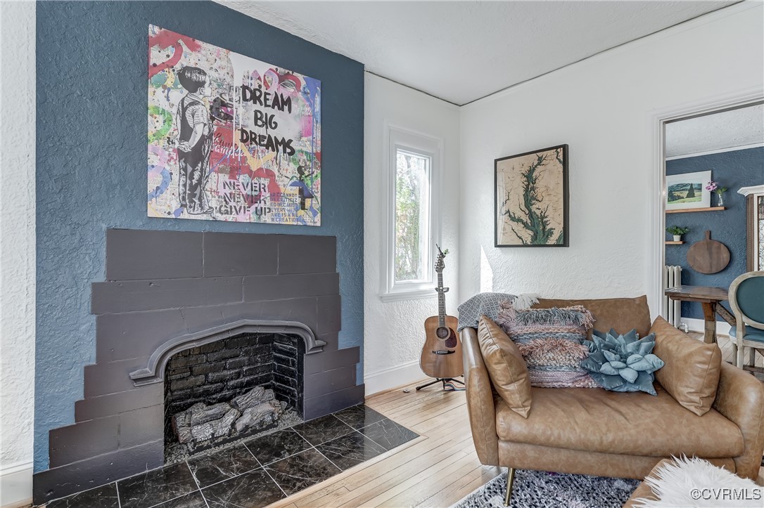 3906 Brook Road Richmond, VA 23227 - Photo 9 of 50 a living room with furniture and a fireplace