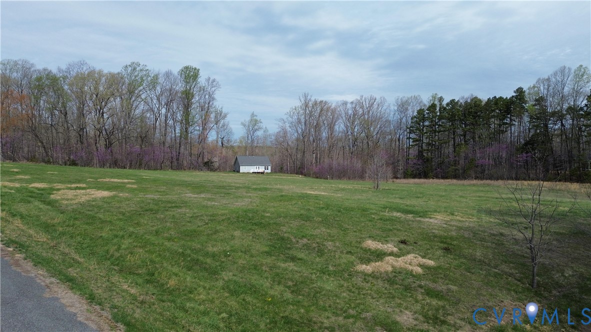 0 East Locket Pamplin, VA 23958 - Photo 9 of 16 a view of a yard with trees in the background