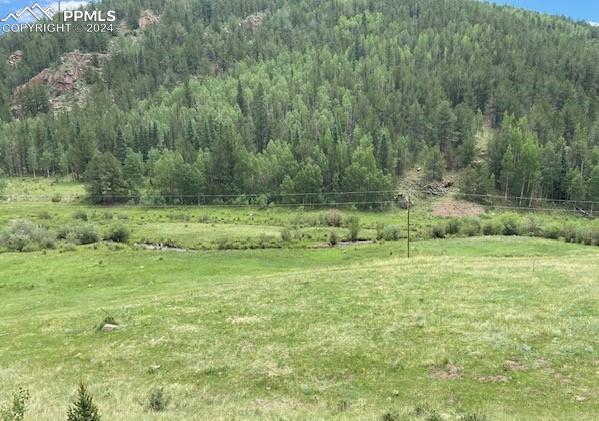 8 County Road Victor, CO 80860 - Photo 2 of 9 Views of National Forest