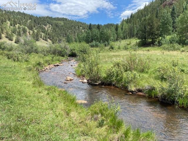 8 County Road Victor, CO 80860 - Photo 3 of 9 Creek in National forest neighboring the lot