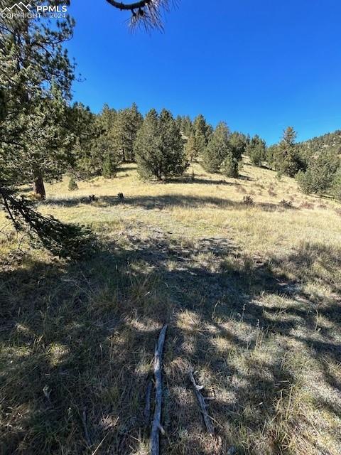 8 County Road Victor, CO 80860 - Photo 4 of 9