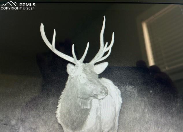 8 County Road Victor, CO 80860 - Photo 8 of 9