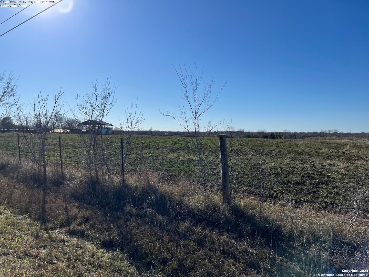 10019 Hackelberg Road Atascosa, TX 78002 - Photo 5 of 6