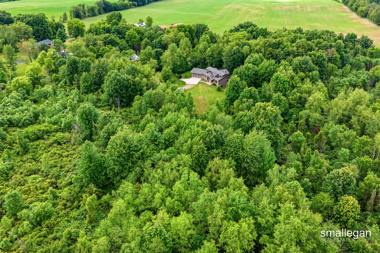 10156 Love Road Bellevue, MI 49021 - Photo 86 of 98