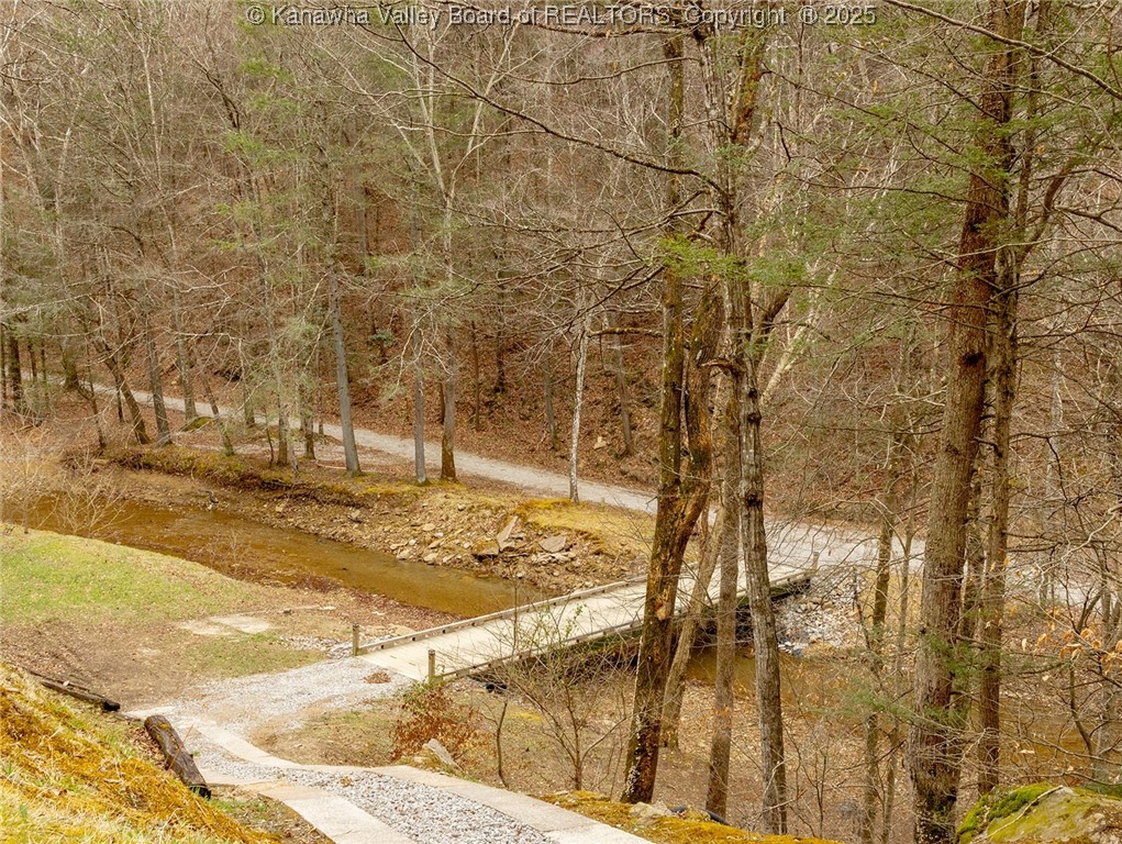 254 Wicket Road Clendenin, WV 25045 - Photo 4 of 37 Gallery Image 4