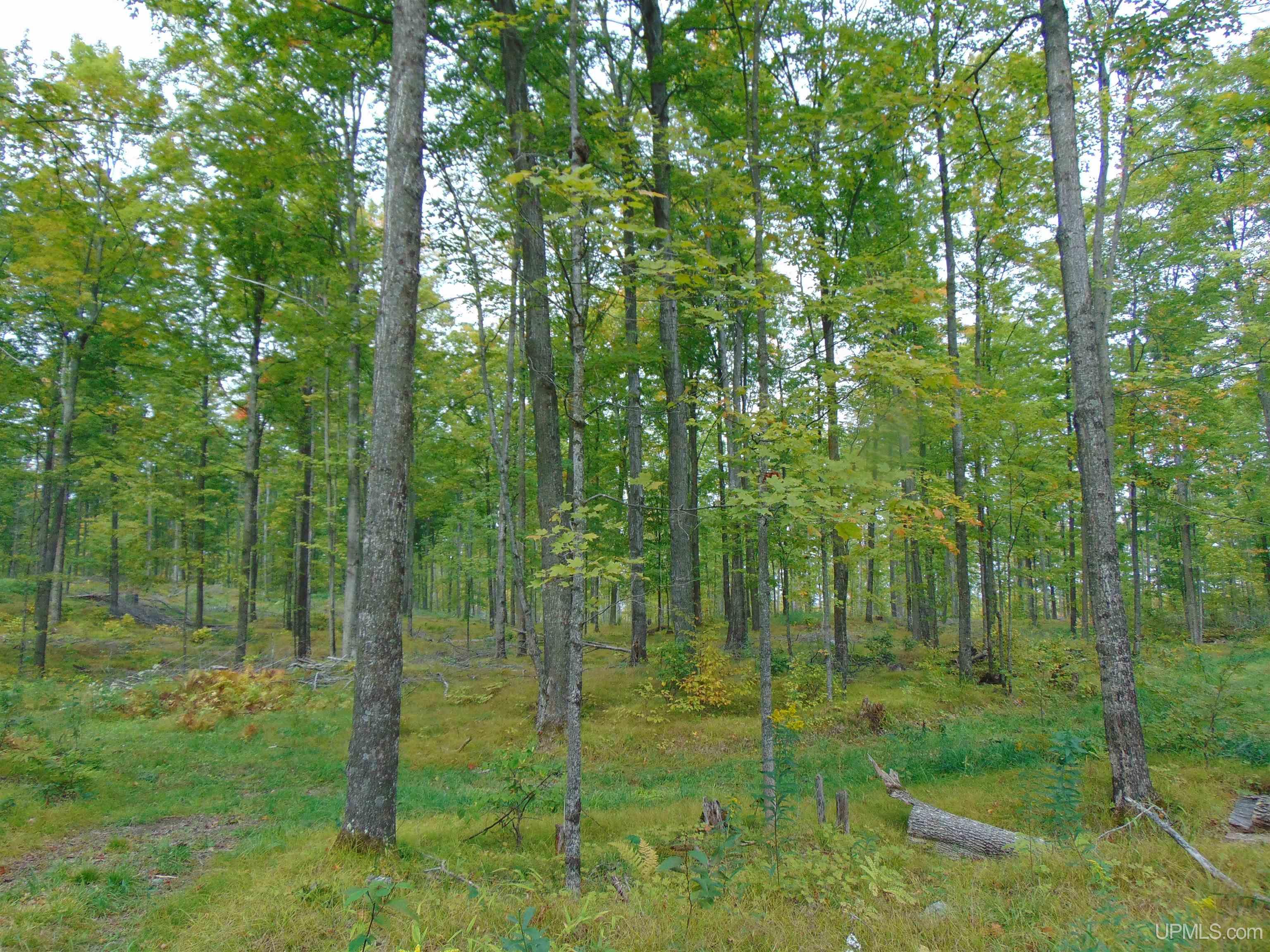 2792 County Line Road Vulcan, MI 49892 - Photo 90 of 99