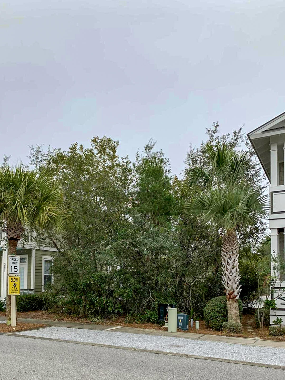 Lot7-blkc Lot7-blkc Beach Inlet Beach, FL 32461 - Photo 2 of 16 a plant is sitting in front of a house