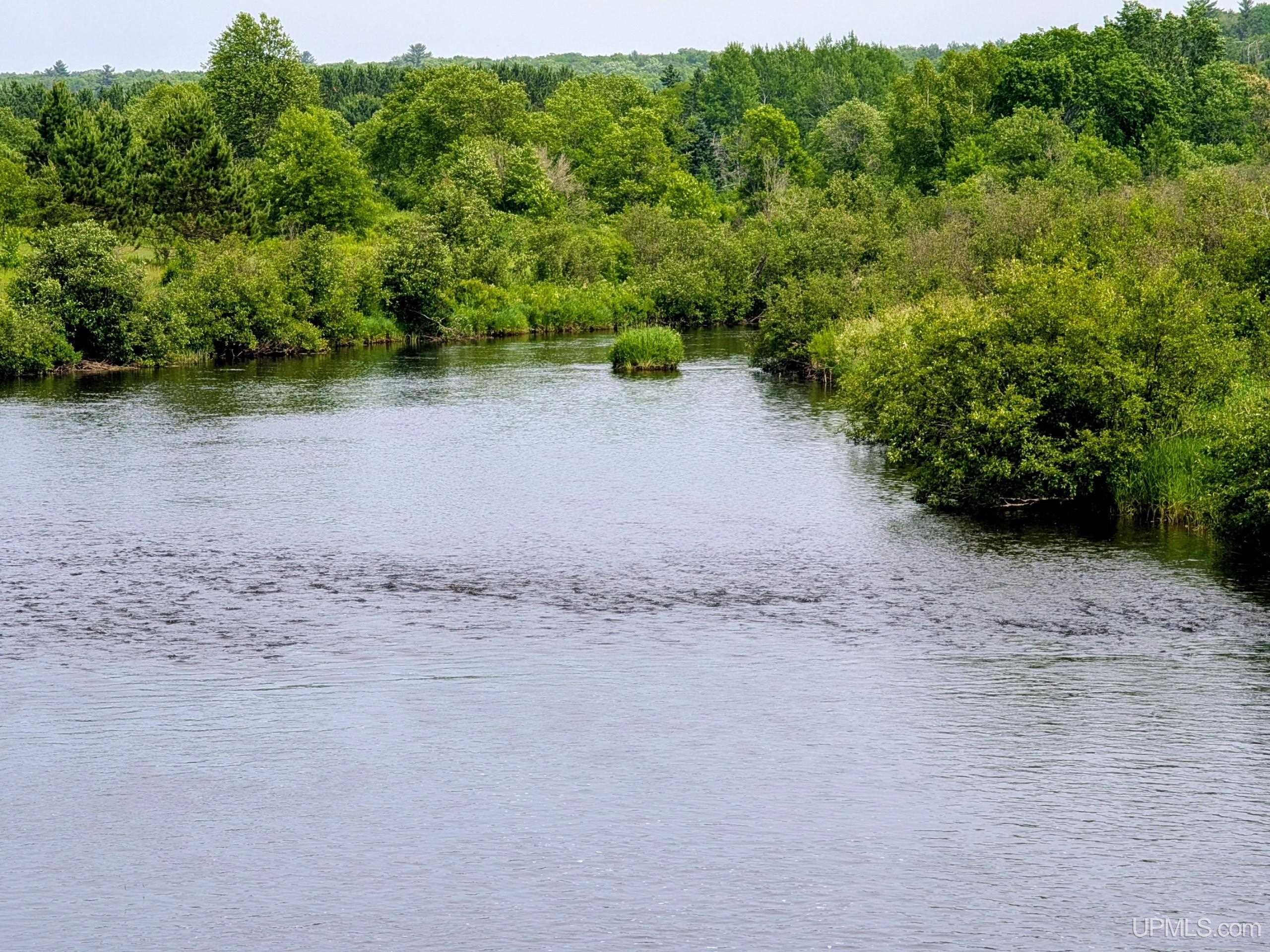 Tbd Pond Road Iron River, MI 49935 - Photo 4 of 26