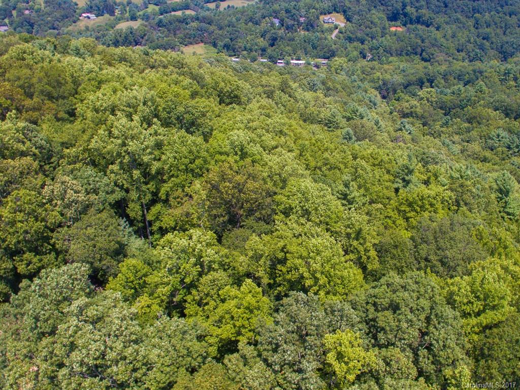 0 Hawk Ridge Asheville, NC 28804 - Photo 2 of 10 Gallery Image 2