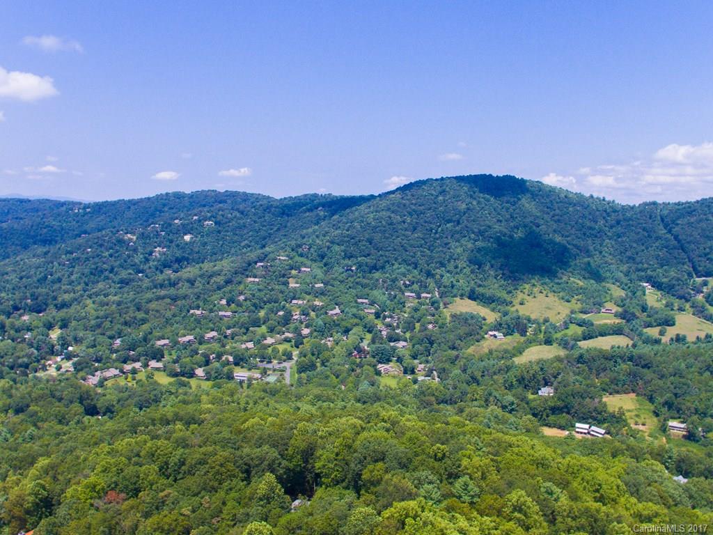 0 Hawk Ridge Asheville, NC 28804 - Photo 3 of 10 Gallery Image 3