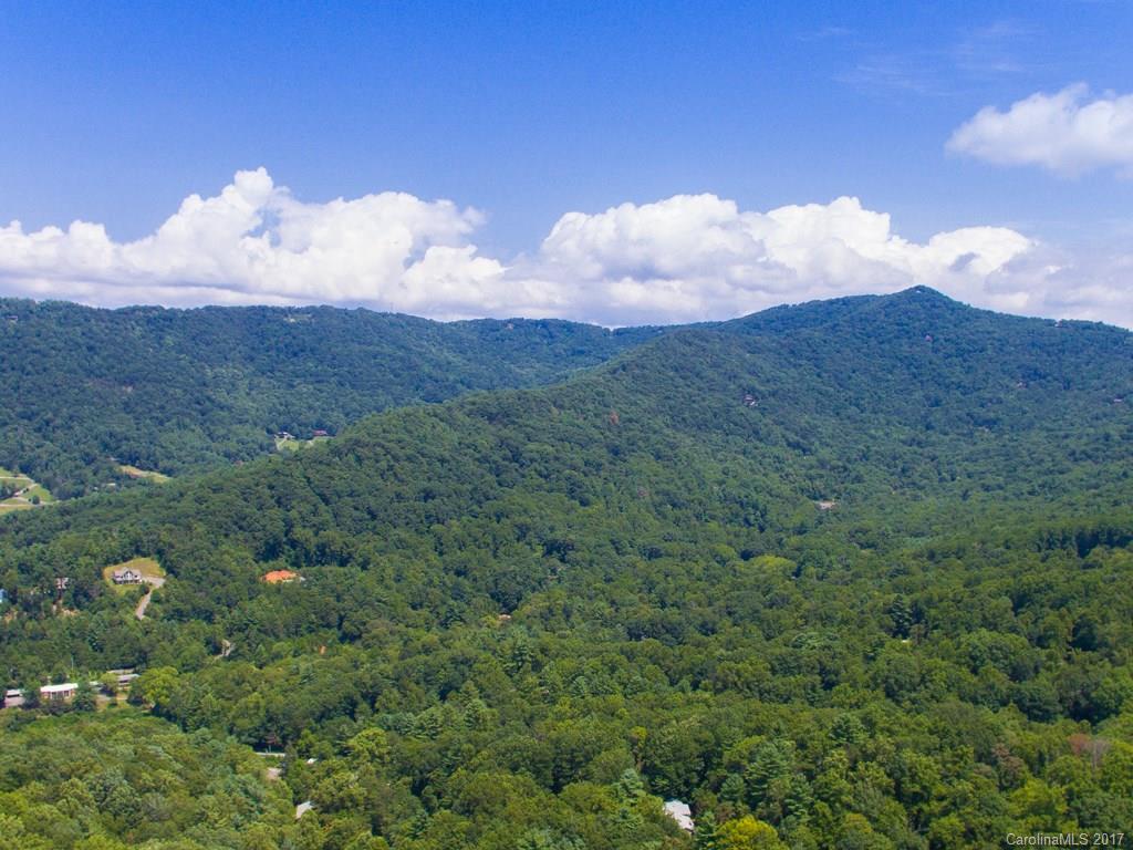 0 Hawk Ridge Asheville, NC 28804 - Photo 4 of 10 Gallery Image 4