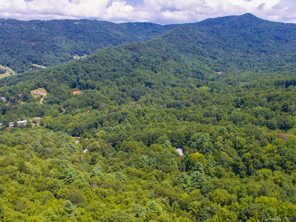 0 Hawk Ridge Asheville, NC 28804 - Photo 5 of 10 Gallery Image 5