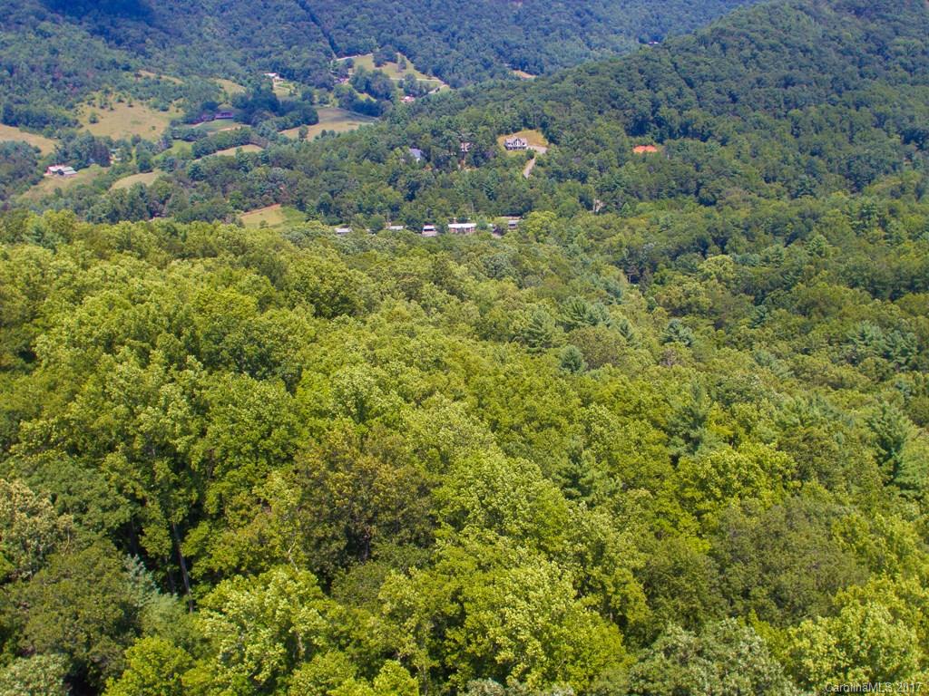 0 Hawk Ridge Asheville, NC 28804 - Photo 8 of 10 Gallery Image 8