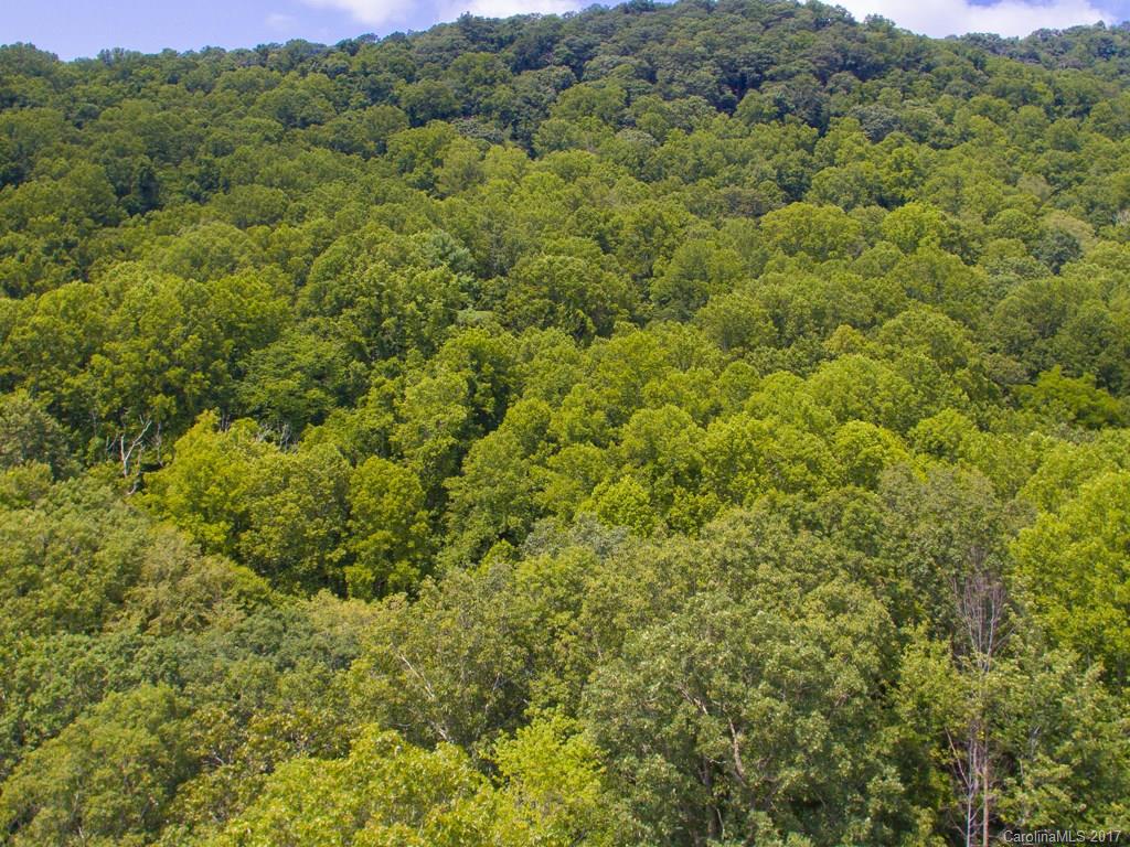 0 Hawk Ridge Asheville, NC 28804 - Photo 10 of 10 Gallery Image 10