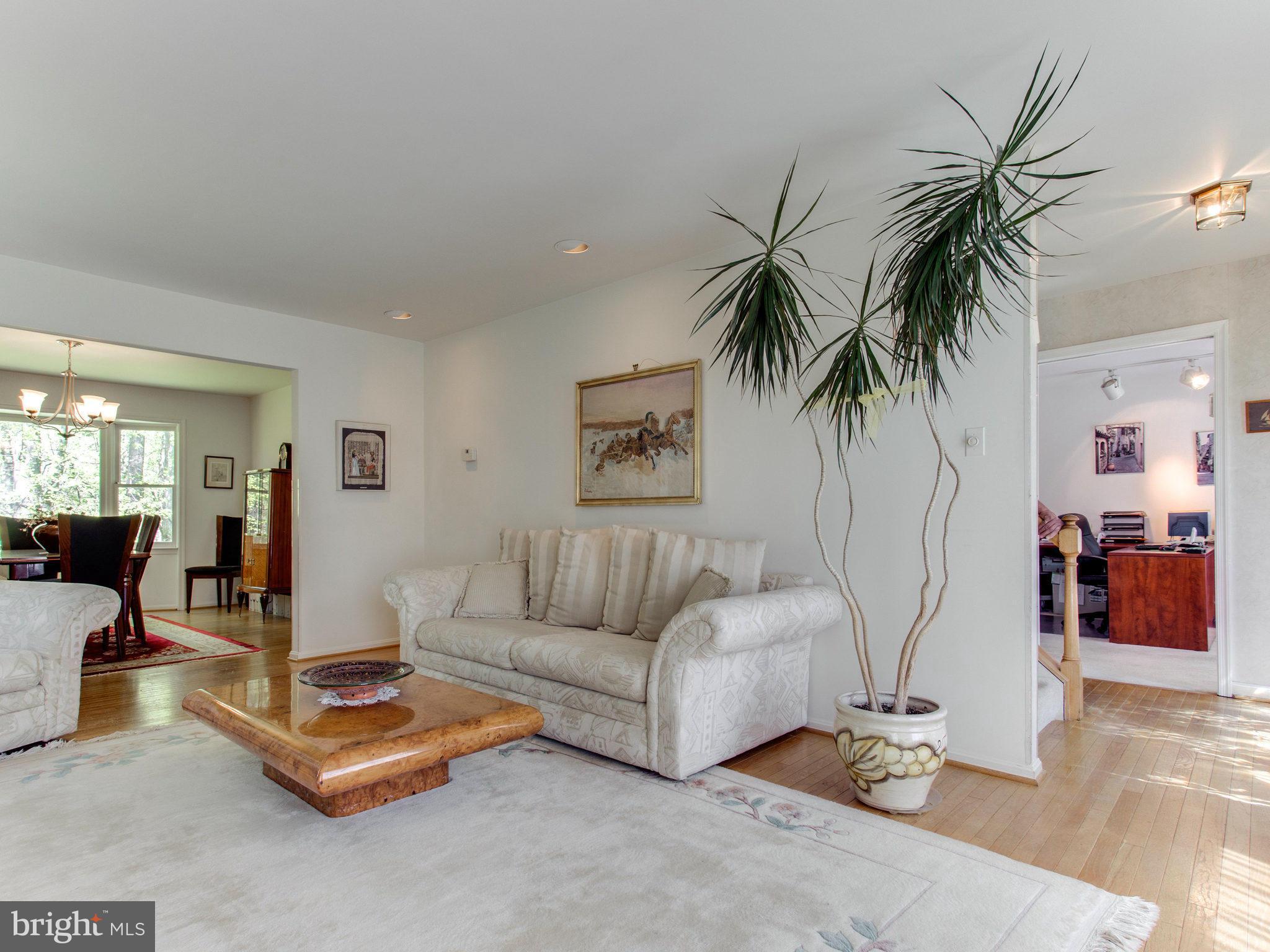 10 Deckman Court Silver Spring, MD 20906 - Photo 5 of 25 a living room with furniture and a potted plant