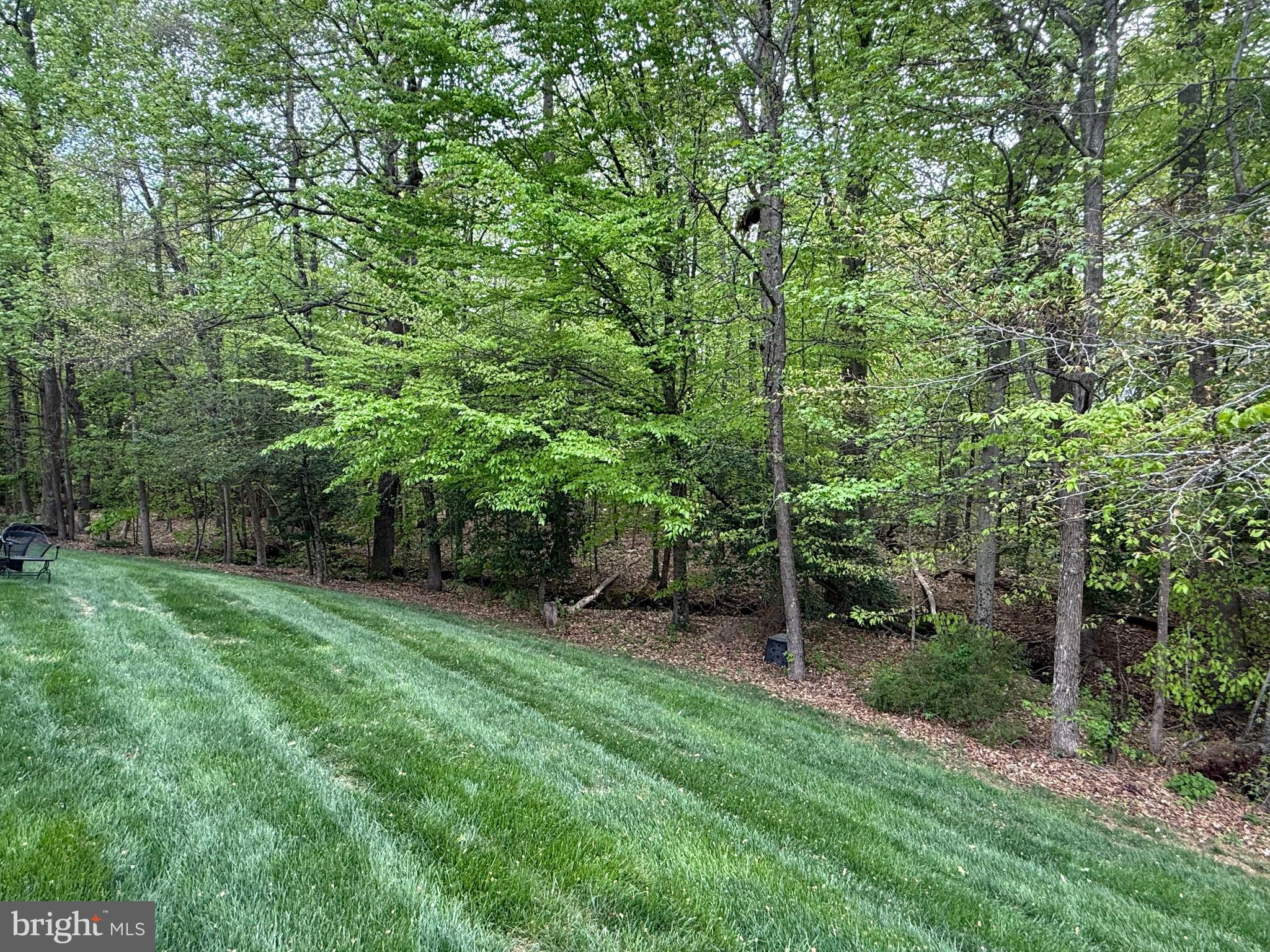 18565 Kerill Road Triangle, VA 22172 - Photo 8 of 59 a view of a backyard with a trees