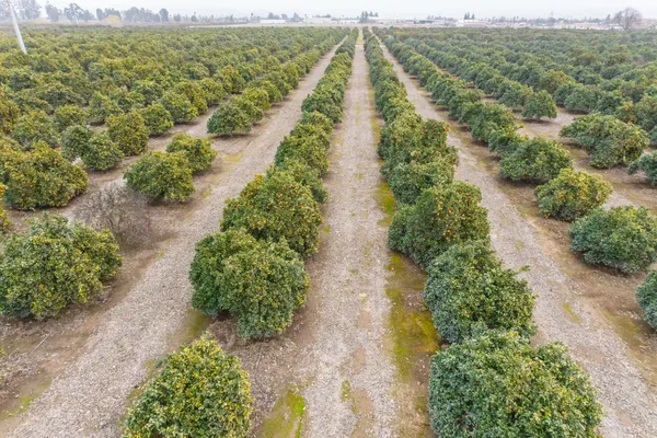 an aerial view of a