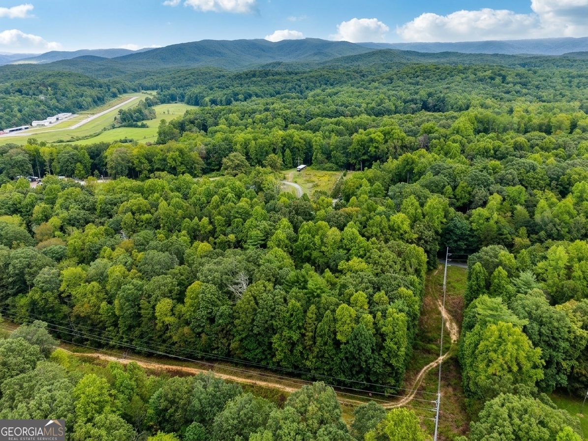 380 Guy Wimpy Road, Unit LOT 2 Dahlonega, GA 30533 - Photo 18 of 23
