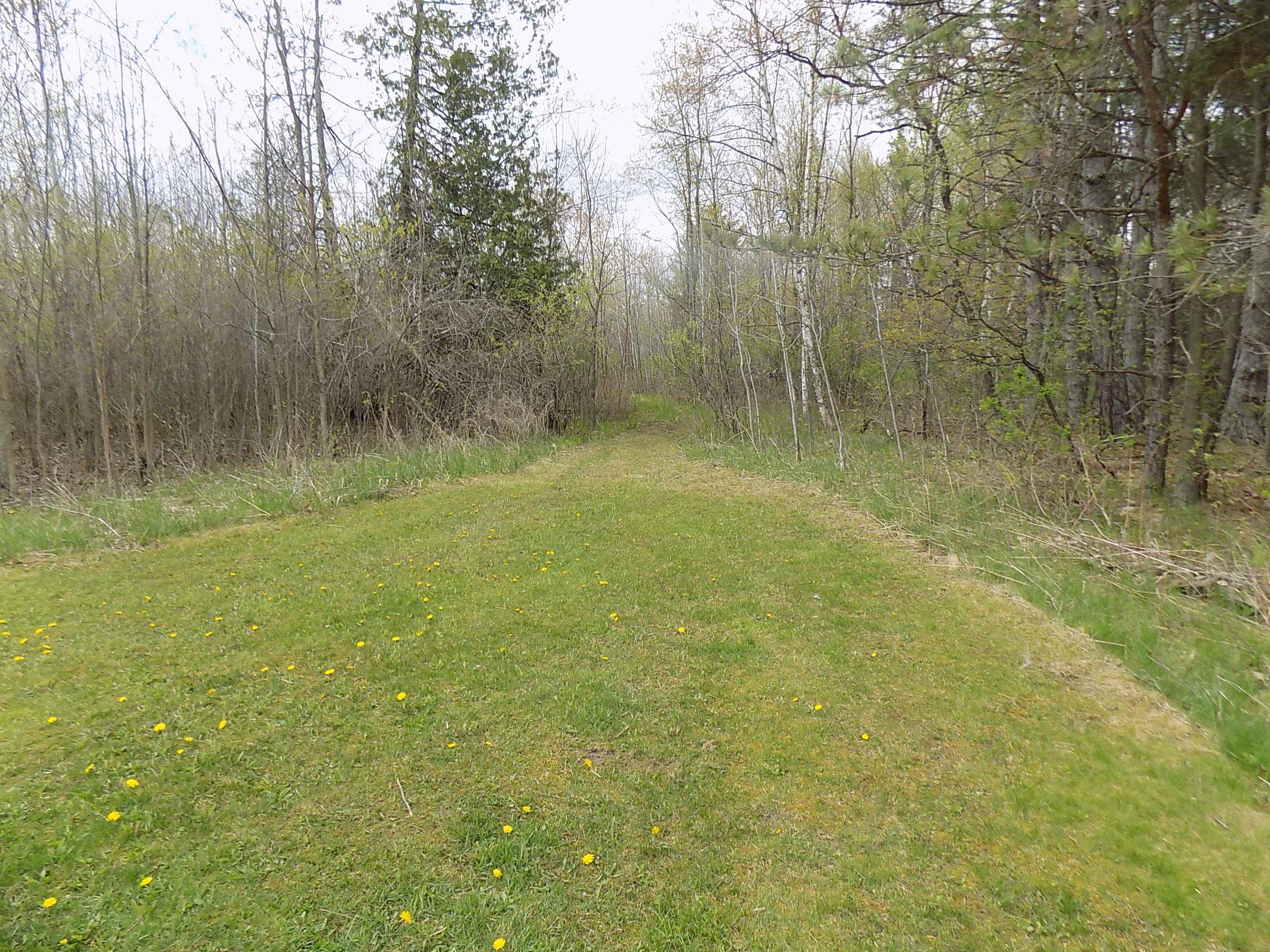 8901 East Ashard Road Clare, MI 48617 - Photo 15 of 42