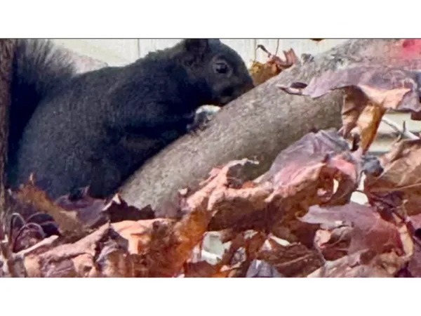 $218,500 | 131 Mc Kinley Street, Two Rivers, WI 54241