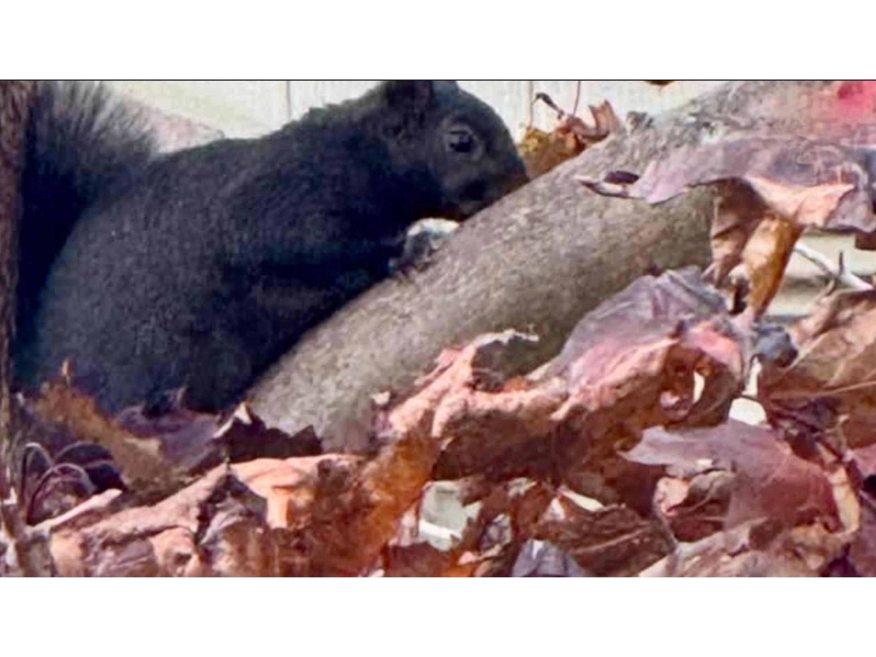 131 Mc Kinley Street Two Rivers, WI 54241 - Photo 33 of 36