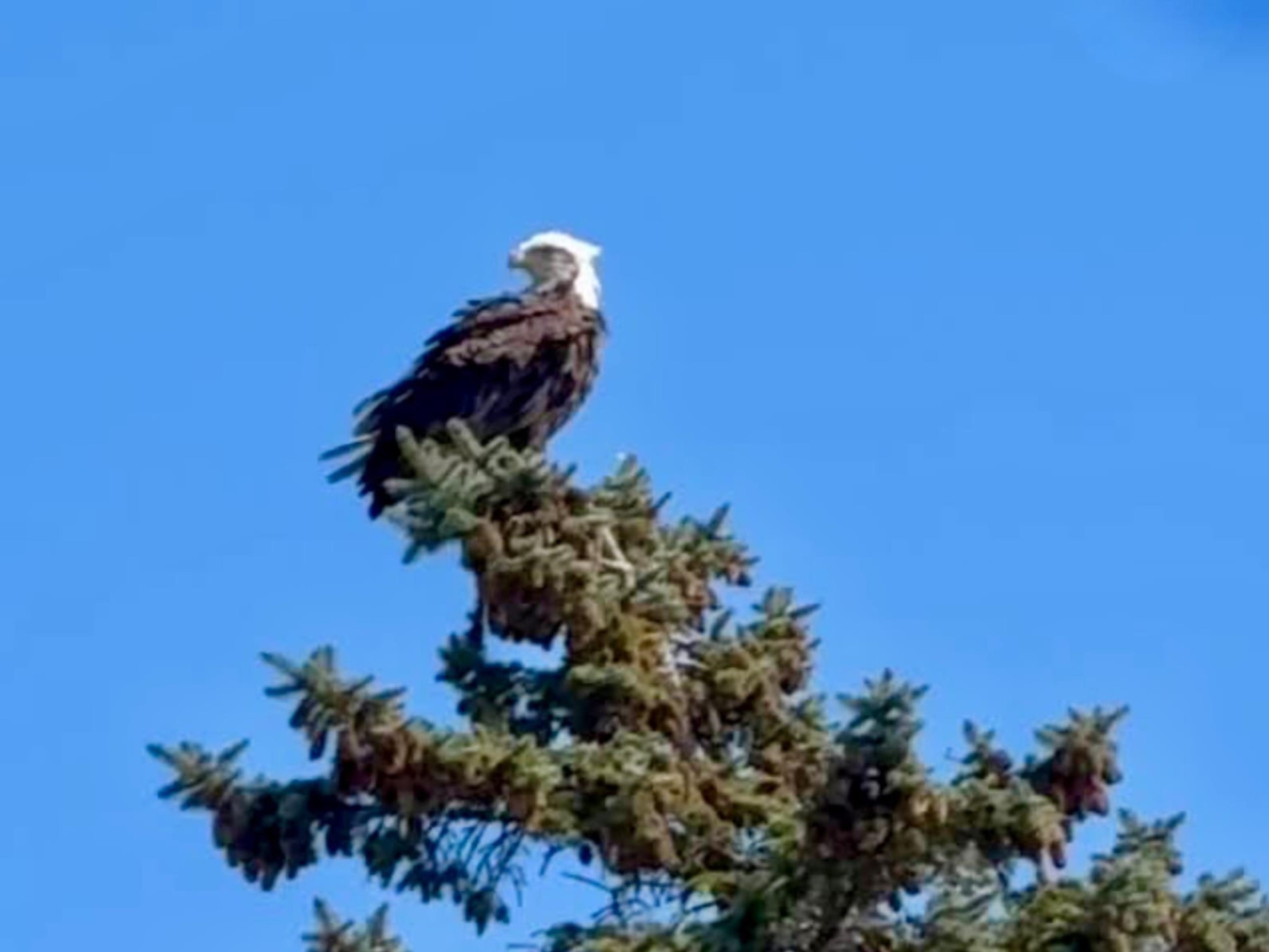 131 Mc Kinley Street Two Rivers, WI 54241 - Photo 35 of 36