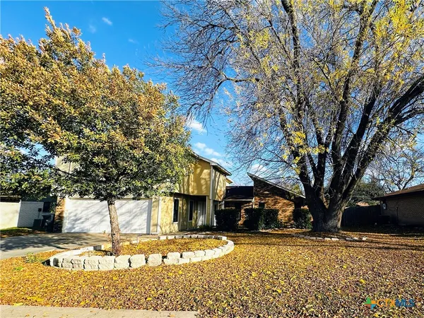a view of a yard with large trees