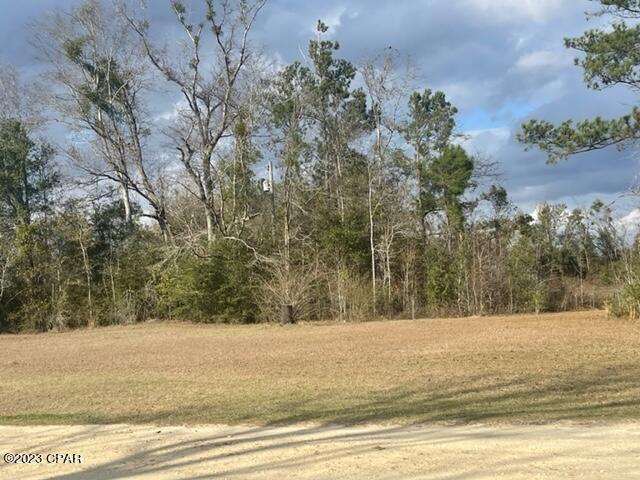 0 Mission Road Marianna, FL 32448 - Photo 1 of 8 Gallery Image 1