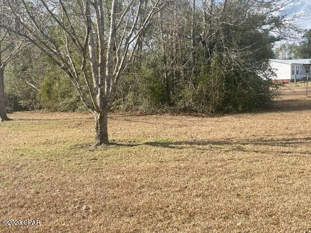 0 Mission Road Marianna, FL 32448 - Photo 3 of 8 Gallery Image 3