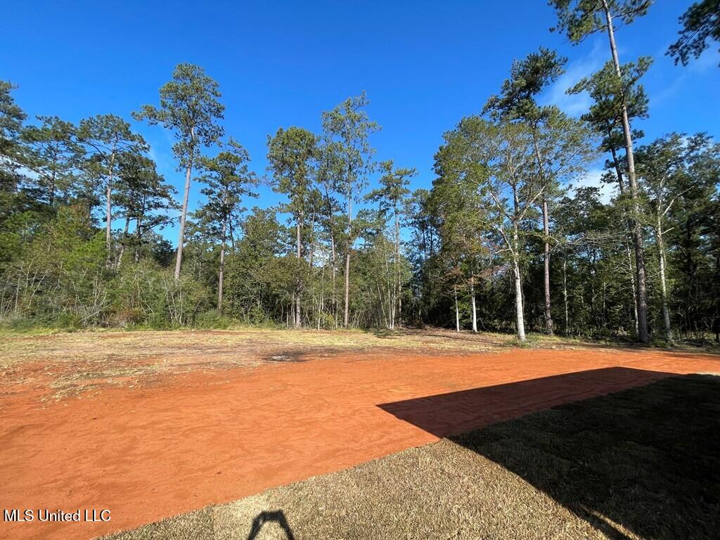 4 Dan Stewart Road Picayune, MS 39466 - Photo 17 of 18 184033_16