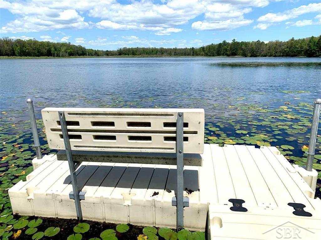 Vl Pineview Shores Road Prescott, MI 48756 - Photo 5 of 12 Gallery Image 5