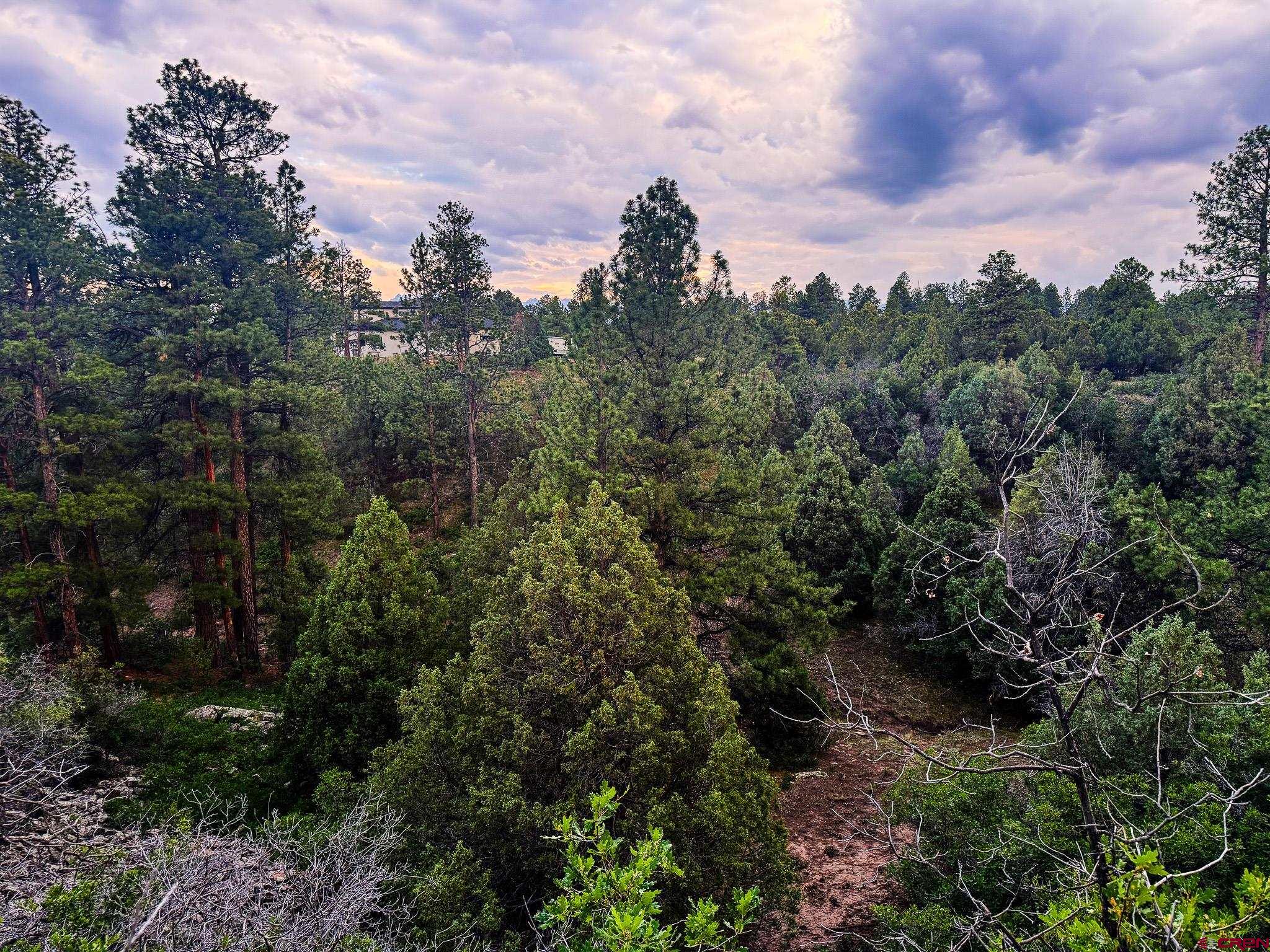 a view of a city with lush green forest