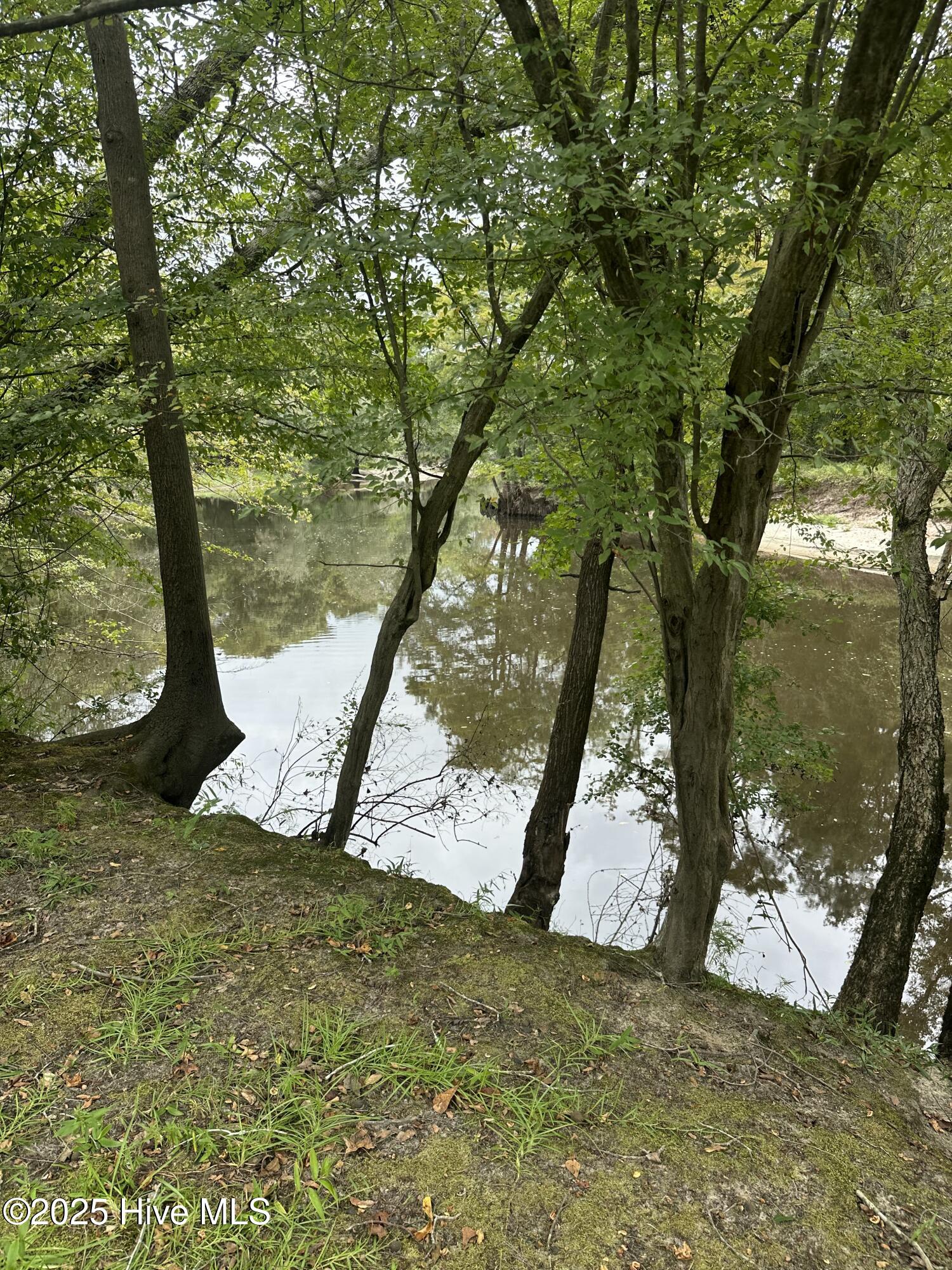 2593 Croomsbridge Road Burgaw, NC 28425 - Photo 14 of 21 IMG_1219