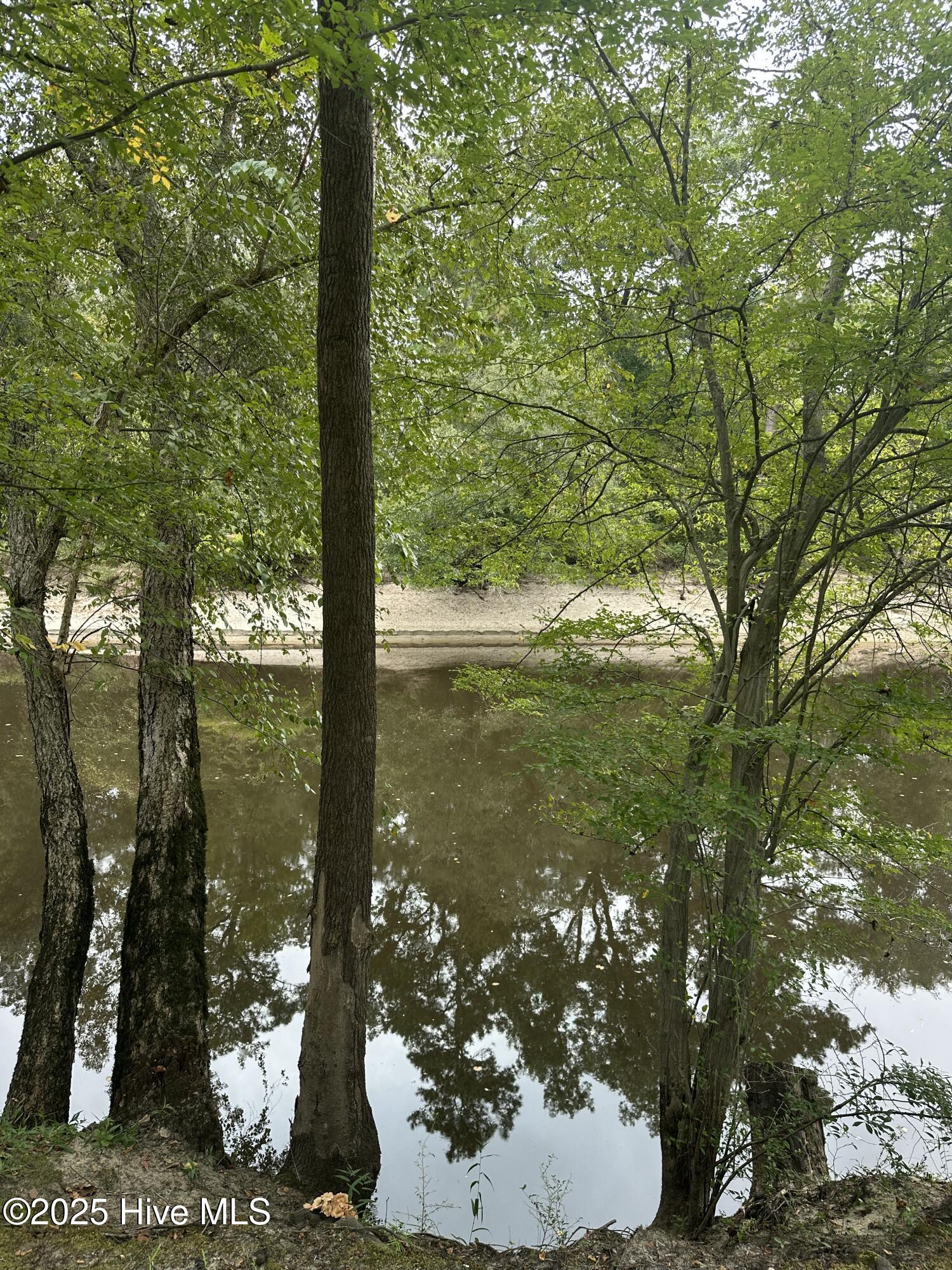 2593 Croomsbridge Road Burgaw, NC 28425 - Photo 16 of 21 IMG_1218