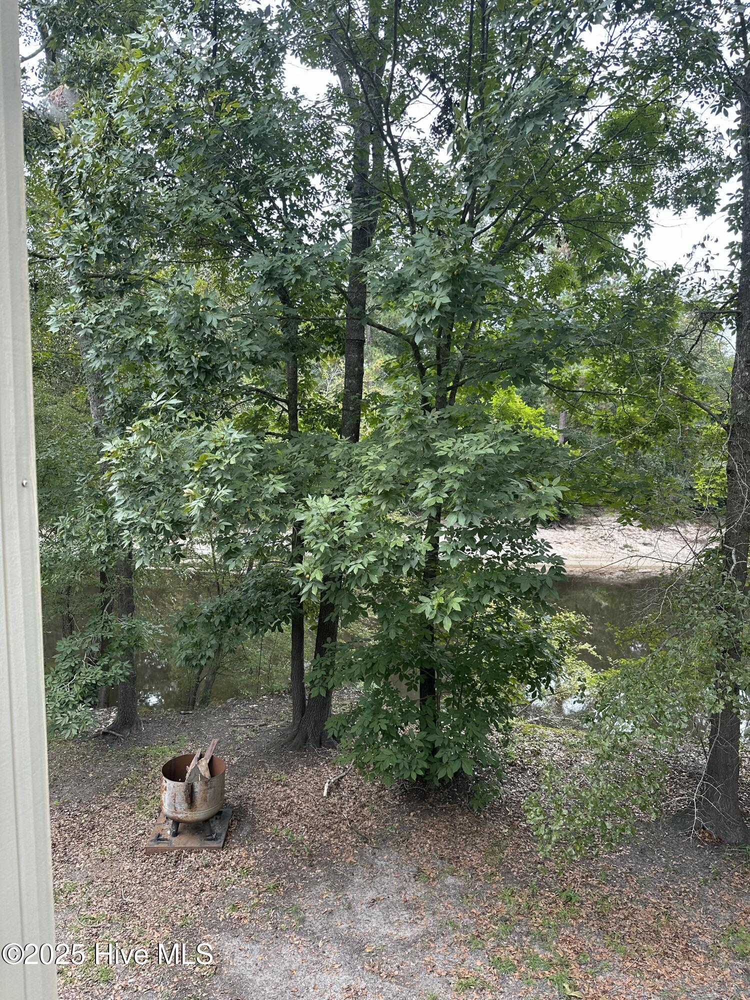2593 Croomsbridge Road Burgaw, NC 28425 - Photo 18 of 21 IMG_1213