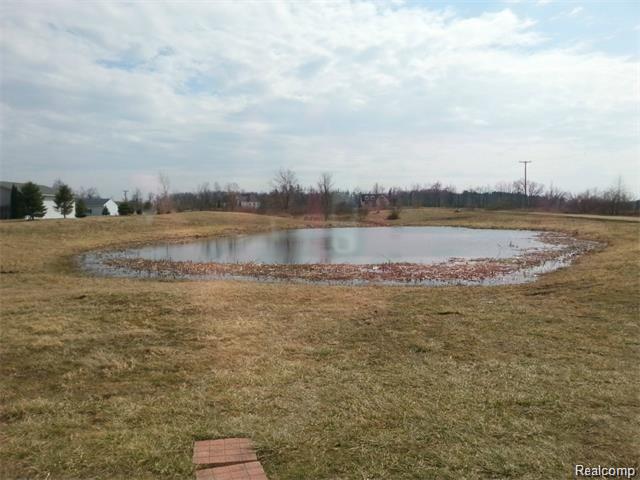 4690 Willis Road North Branch, MI 48461 - Photo 2 of 6