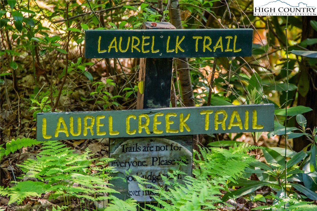 205 Birch Lane Deep Gap, NC 28618 - Photo 39 of 40