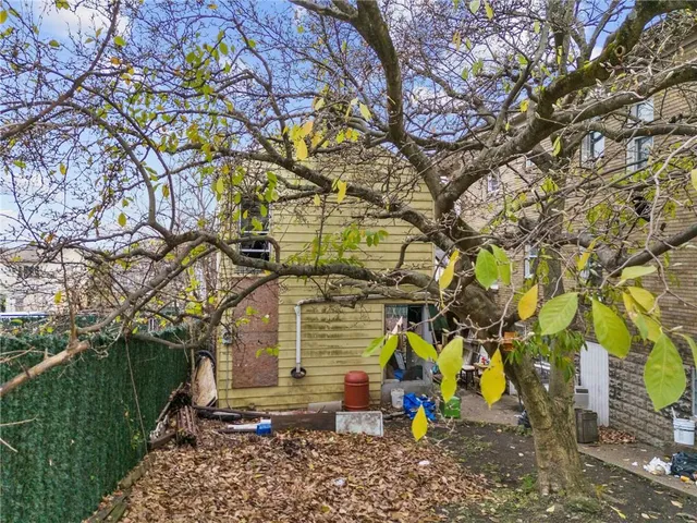 a view of outdoor space with a large tree